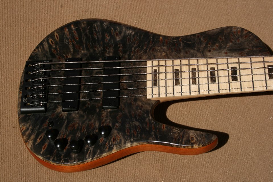 SC6 Buckeye Burl - Price 4000€
